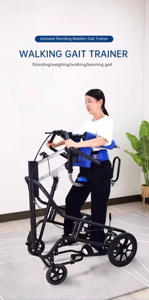 Rehabilitation Training Equipment Walking Aid Elderly Stroke Hemiplegia Walker For Disable